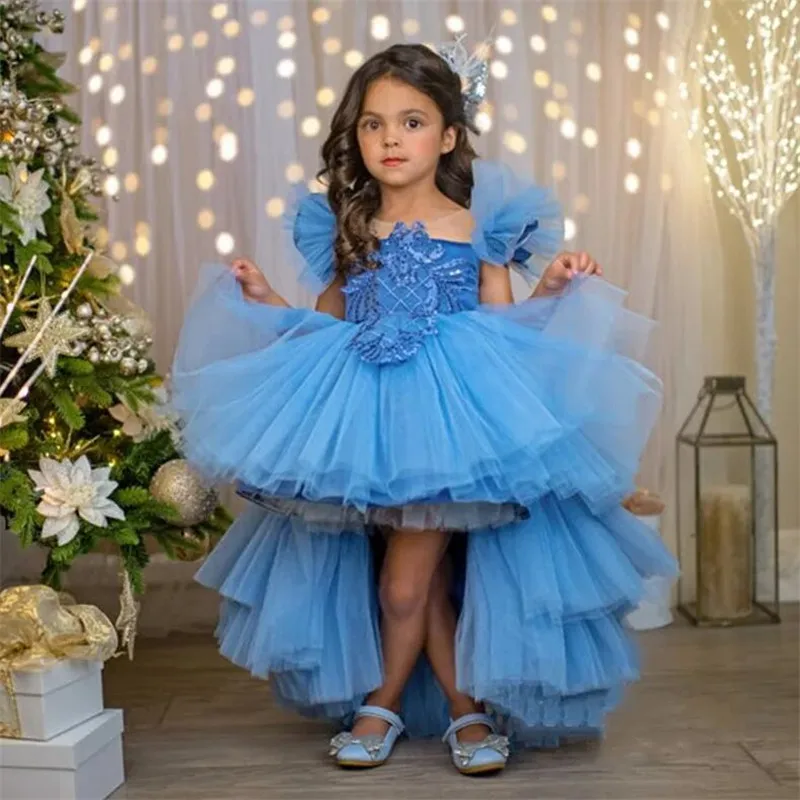 

Puffy Tulle Lace Puffy Gown Flower Girl Dresses Little Princess Dress Illusion Wedding Party Dress First Communion Dress