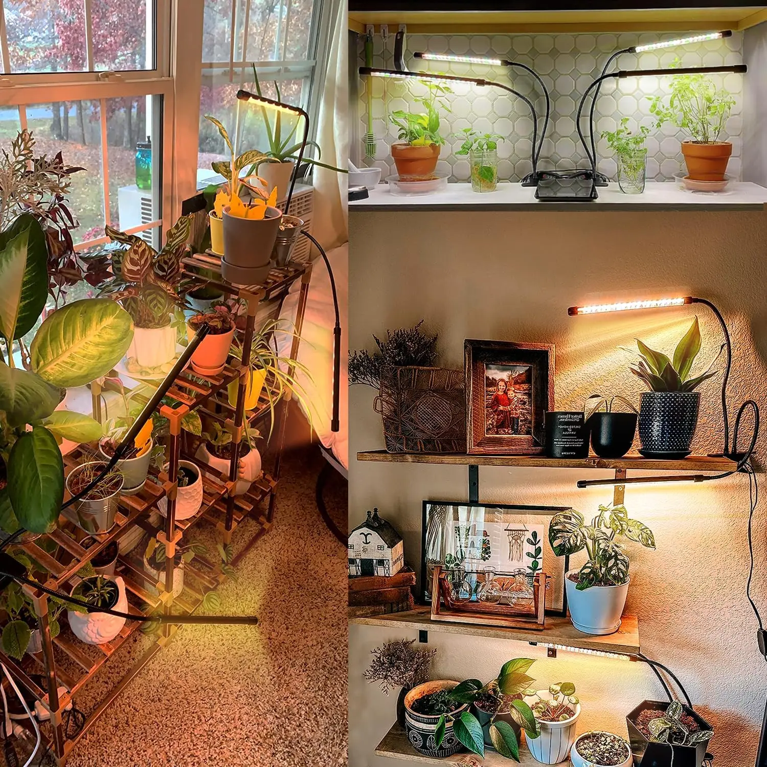 Full Spectrum Plant Grow Light with Clip Phytolamp, 10 Dimmable Levels, Auto On Off with 3/9/12H Timer