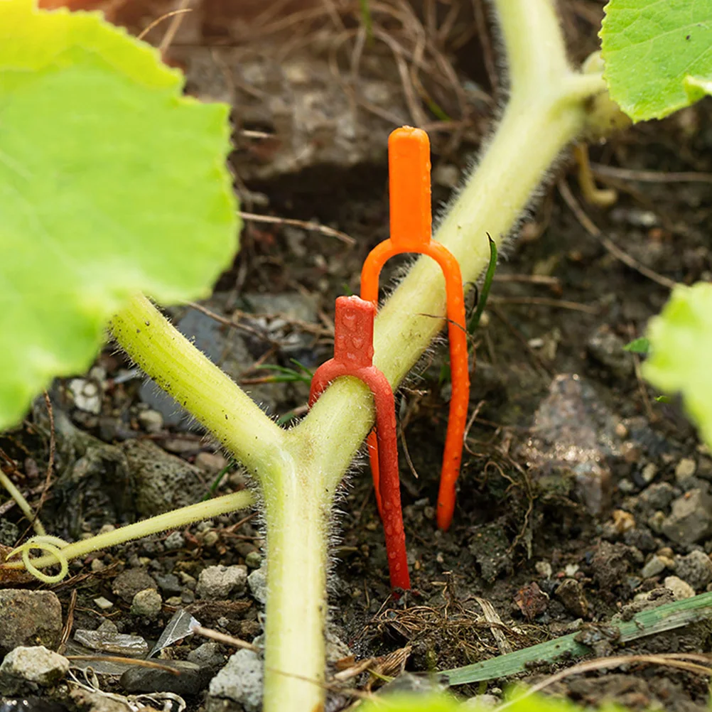 

400 Pcs Strawberry Pressing Fork Gardening Vine Fixing Tool PP Material Reusable Plant Support Clips for Watermelon Vines Stolon