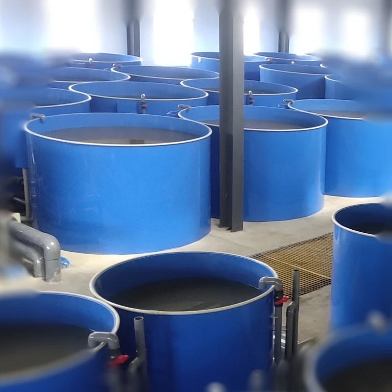 Indoor Ras Fish Tank and Other Aquaculture Equipment for Fish Farm