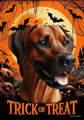 Rhodesian Ridgeback Trick or Treat Halloween Flag