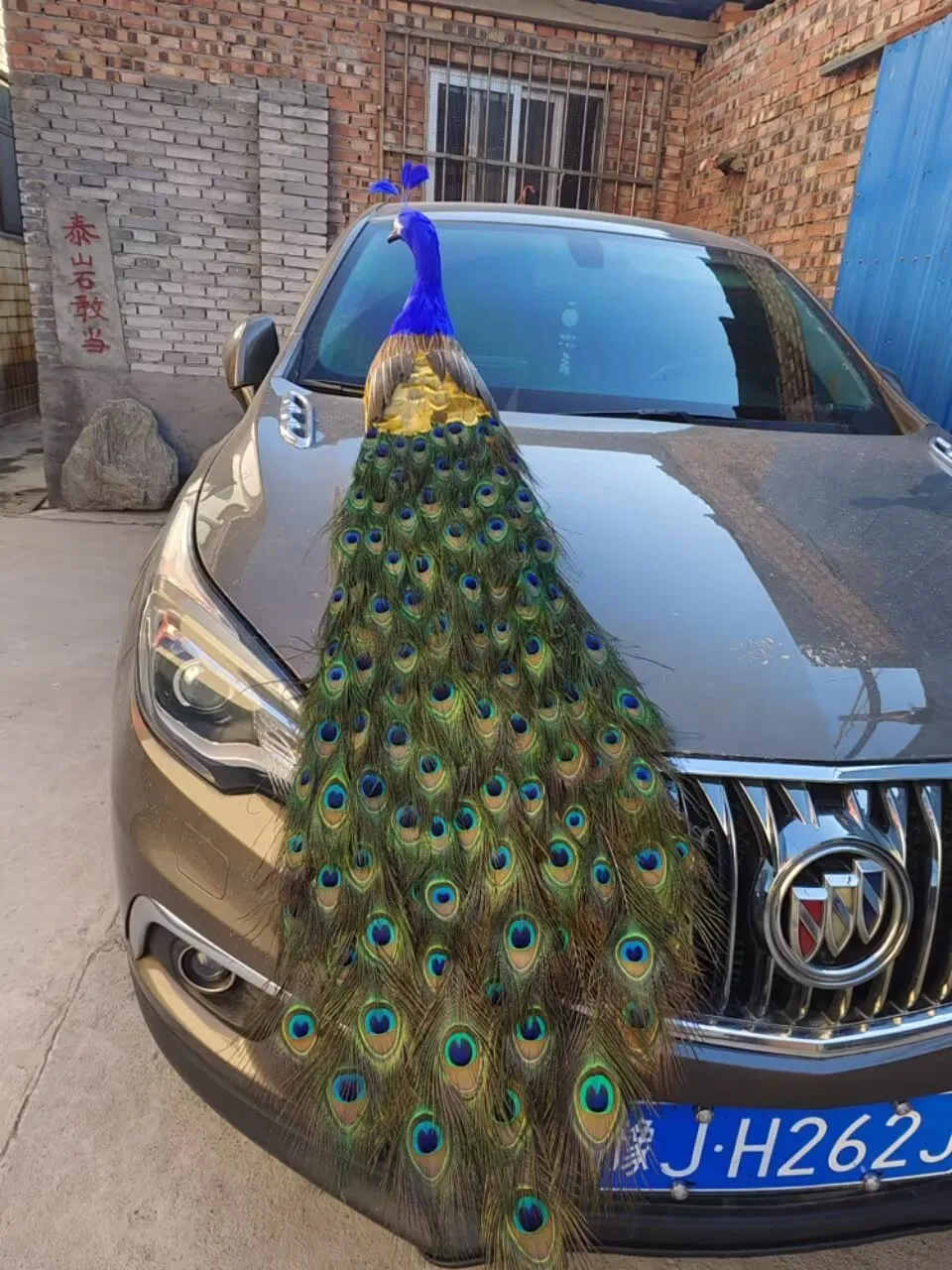 long simulation foam&feather beautiful peacock model gift about 125cm xf2988