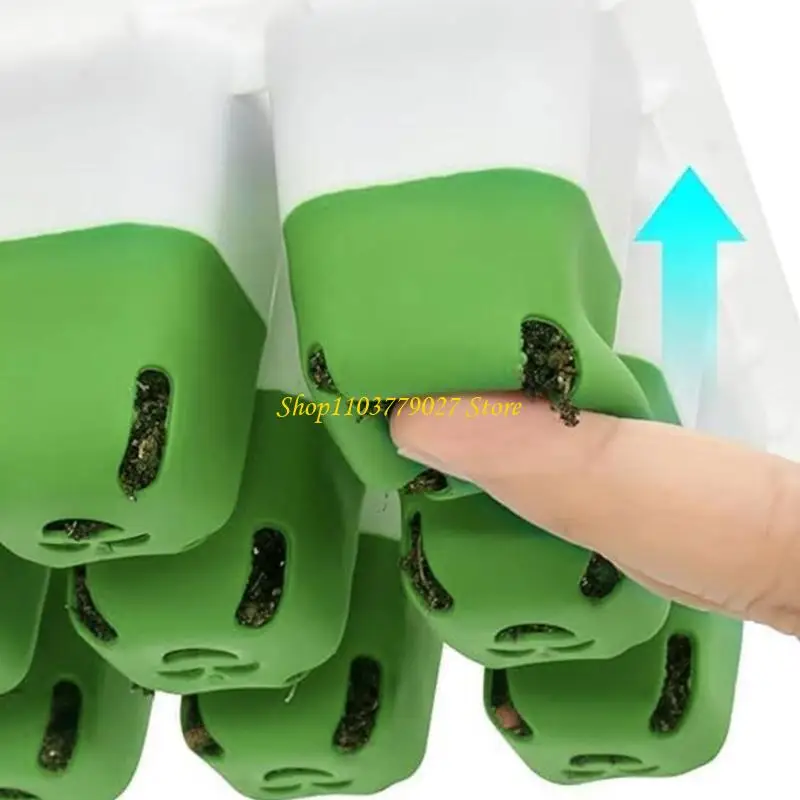 C4DF Indoor Plant Nursery Tray for Vegetables Flowers and Herbs  Starter Kits Seedling Box for Home Gardening Enthusiasts
