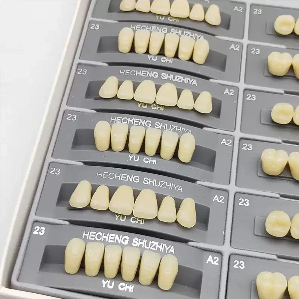 96 Buah/Boks Gigi Resin Sintetis Gigi Multi-lapis Warna Tinggi Tahan Aus Gigi Posterior Anterior Model Pendidikan Gigi