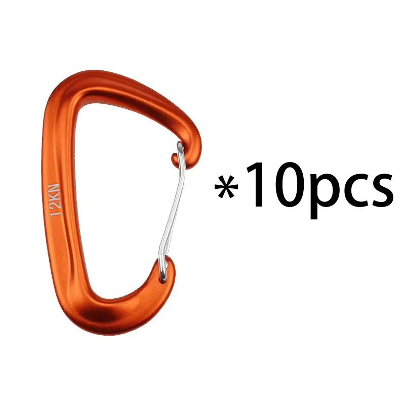 10pcs orange