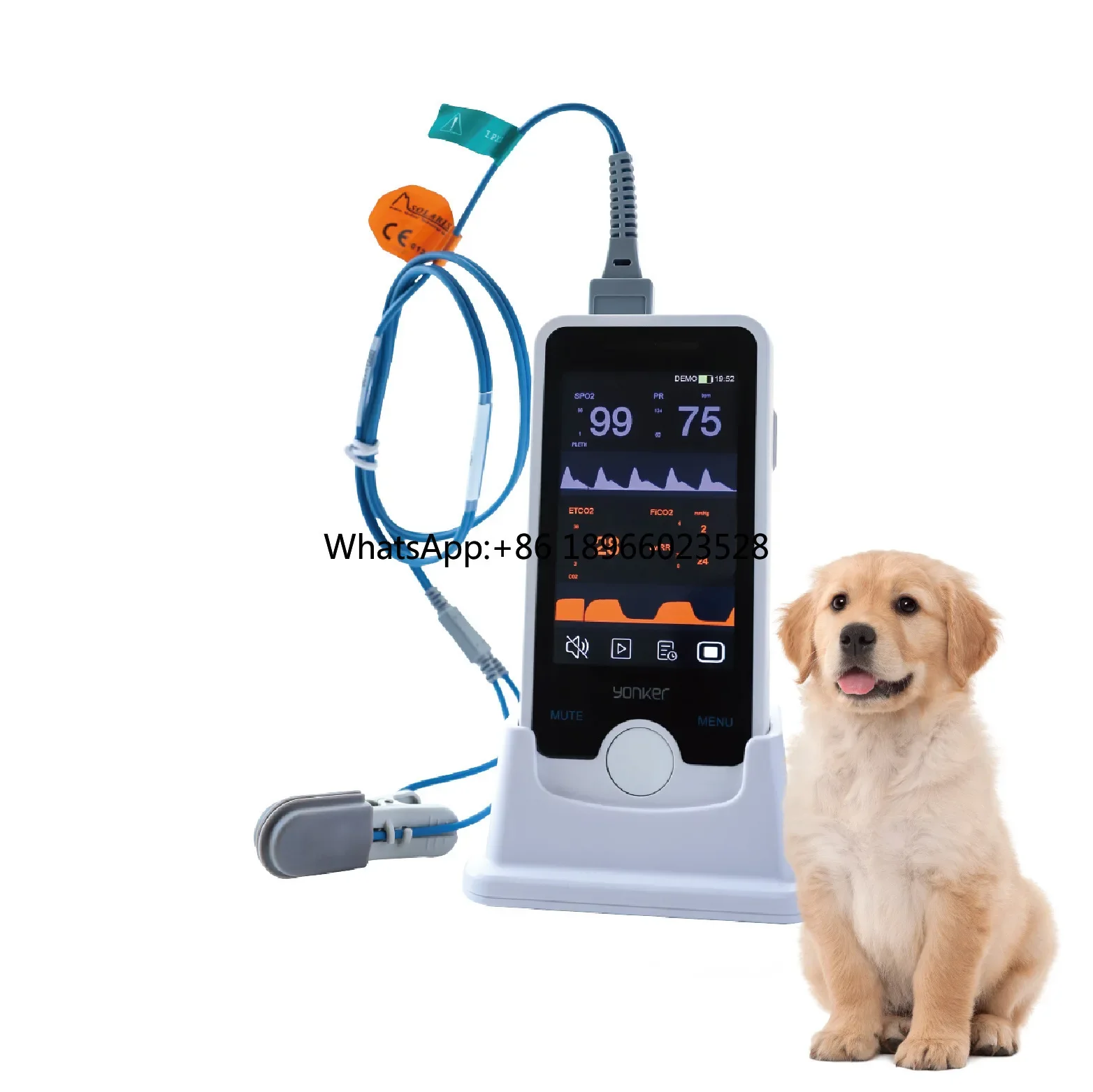 Pet hospital monitor manufacturer portable cat and dog oximeter