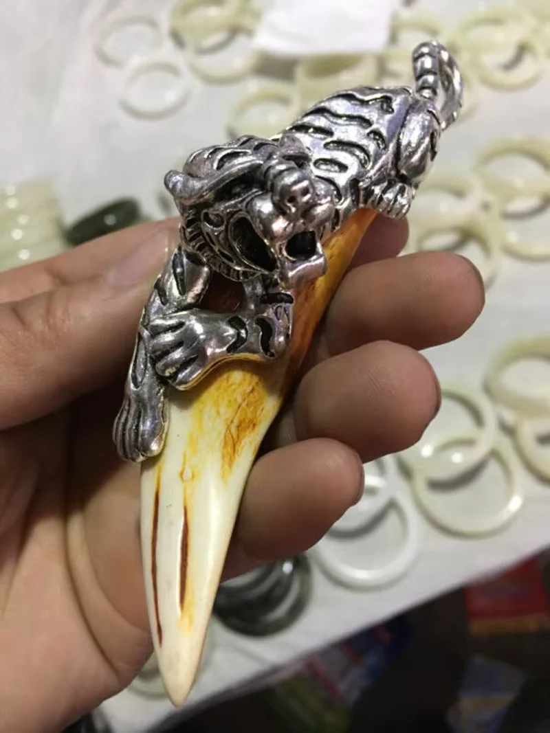 

Chinese Antique Boars Tooth Wild Hog Silver Dragon Protective Talisman Pendant Collection Ornaments Statues for Decoration
