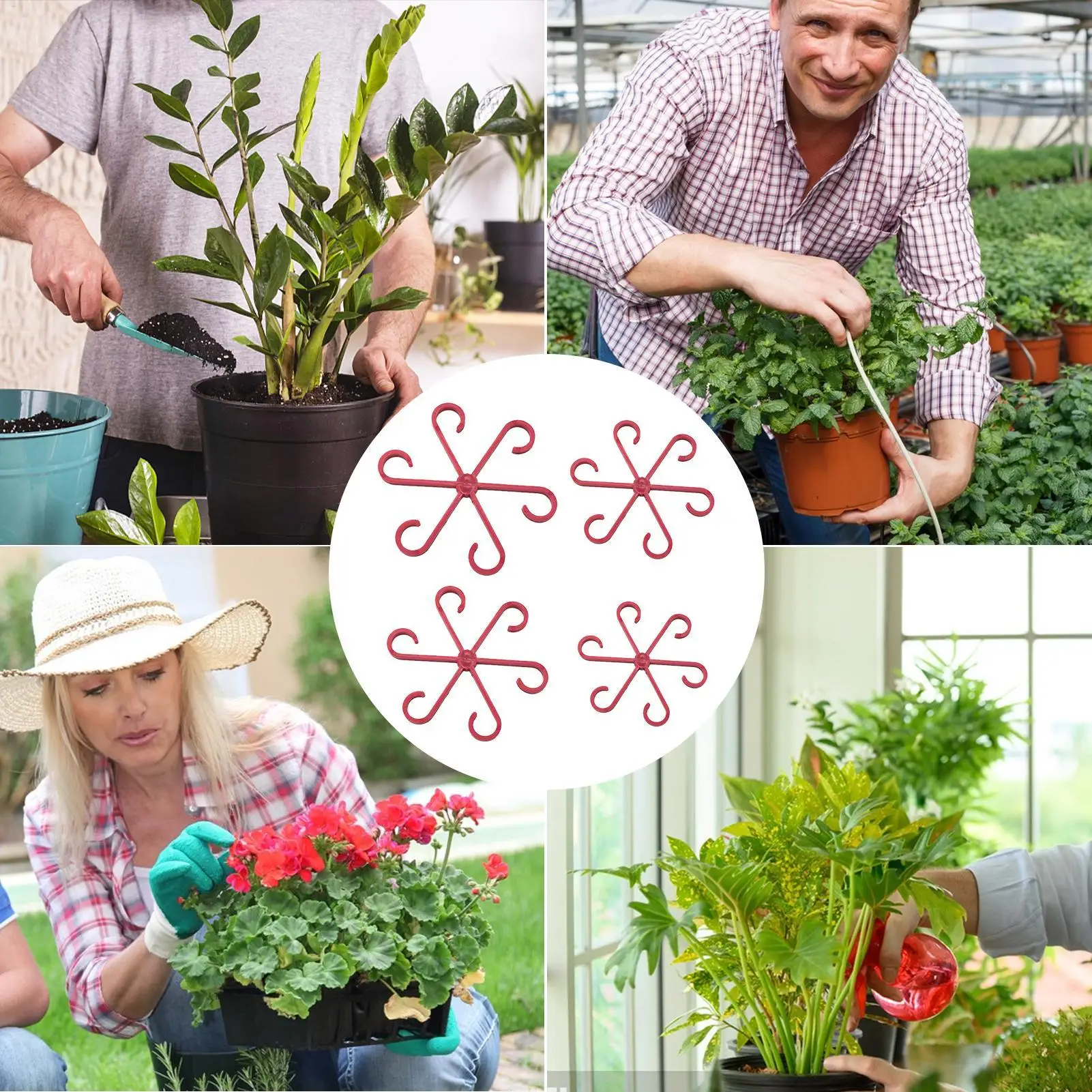 Stem Supports for Indoor Plants 4 Pieces Climbing Plants Support Alocasia Stem Holder for Indoor Outdoor Garden Balcony Pothos
