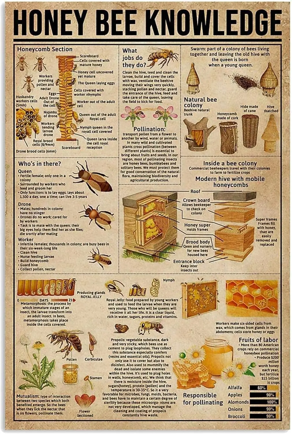 Honey Bee Knowledge Posters Beekeeper Metal Signs Home Club Room Decor Retro Plaque Wall Decor 8x12 Inches