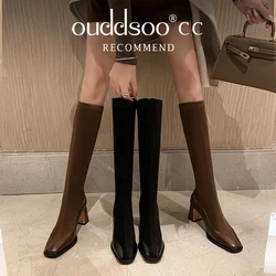 Ods Luxury Women High Boots Pointed Toe Ladies Elegant Square High Heel Long Booties Short Plush Footwear Boats Botas De Mujer42