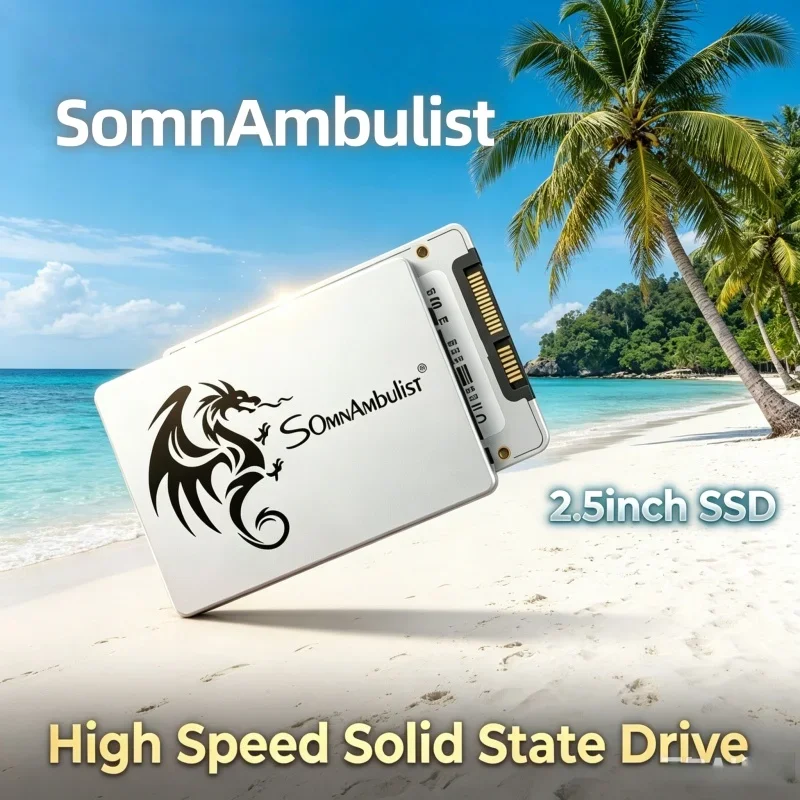 somnambulist-2026-nuevo-ssd-sata-iii-de-64gb-a-2tb-estable-para-actualizacion-de-pc-en-el-hogar-y-la-oficina