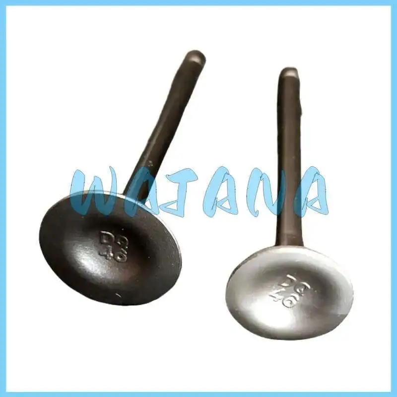 

Впускные и выпускные клапаны для цепного двигателя Haojiang Hj125/150