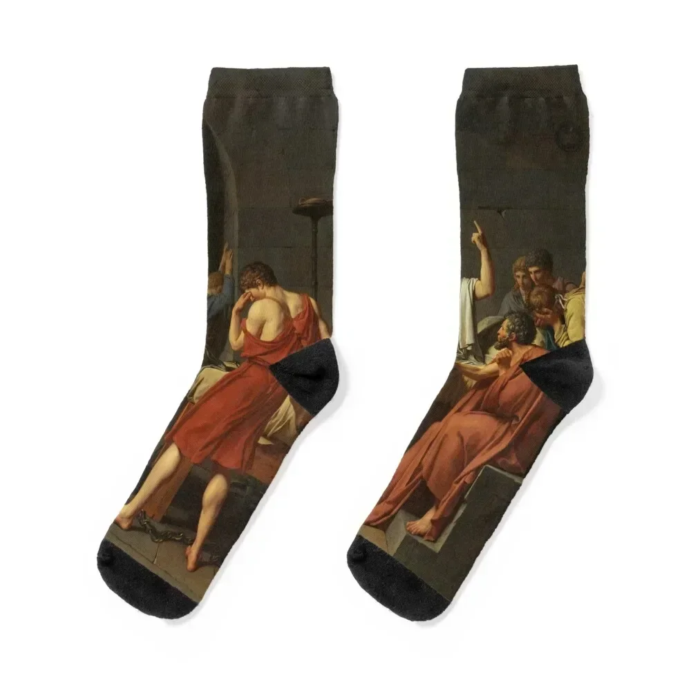 Jacques-Louis David Death of Socrates Socks Stockings aesthetic cool happy Ladies Socks Men's
