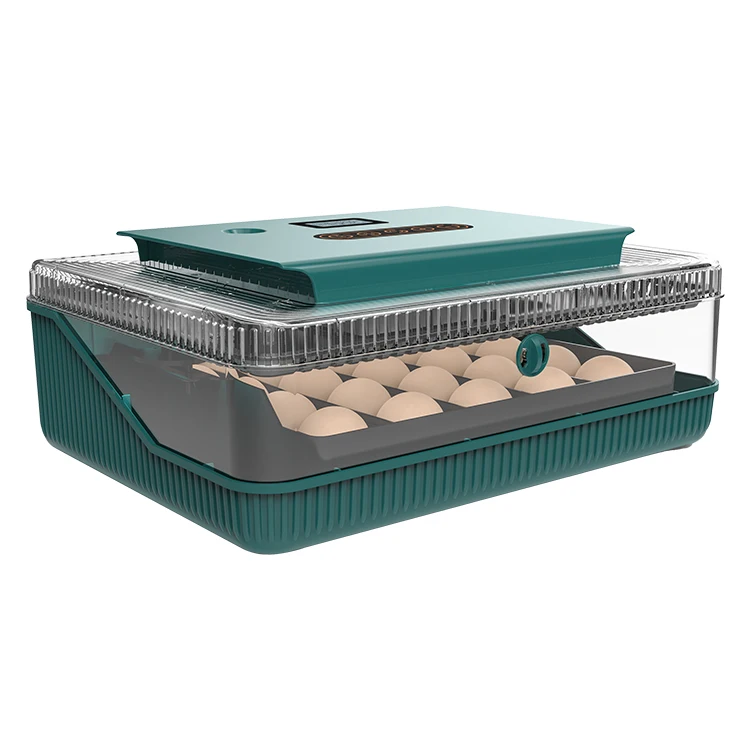 

25 Mini Industrial Hatching Trays Chicken Egg Incubator For Sale Philippine