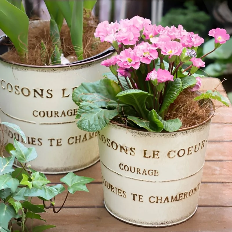 Japanese Metal Flower Pot Iron Planter for Succulents Outdoor Garden Bonsai container Vintage flower Bucket with Drainage Holes