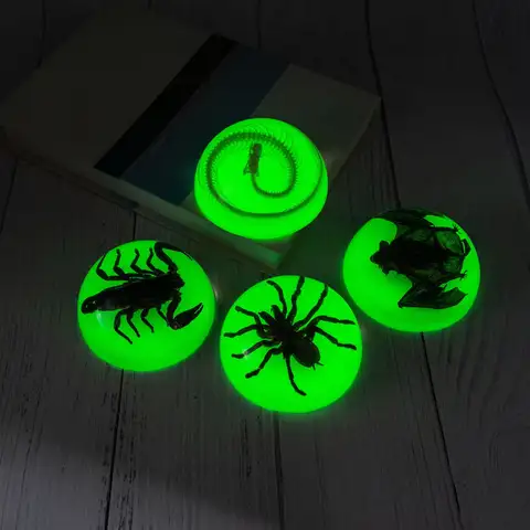 luminous,Poecilotheria regalis,skull Snake,Night-Luminescent Bat, Scorpion & Spider Specimens: Unique Desktop Ornaments