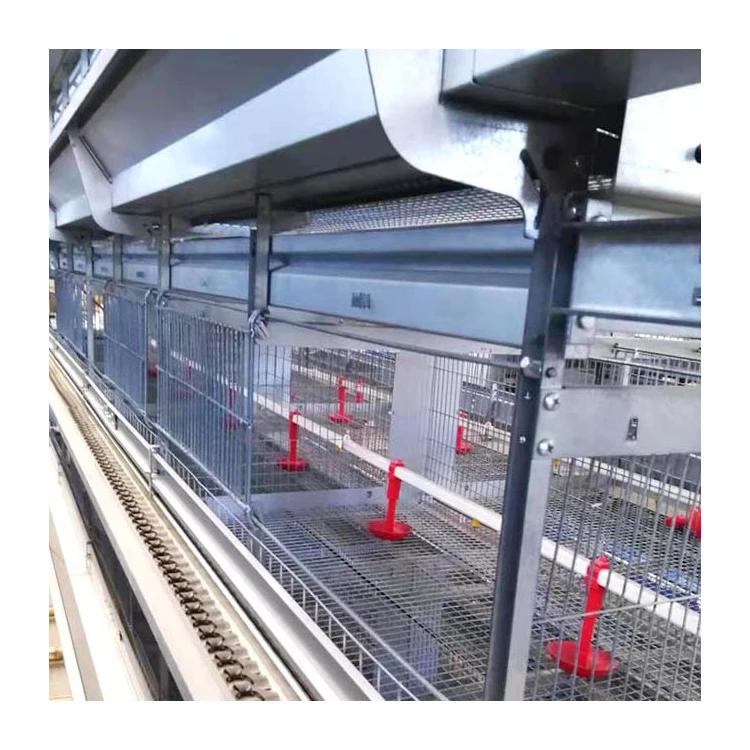Automatic Chicken Cage System, 150000 Capacity, Battery Layer, Poultry Farming, Automatic Feeding, Egg Collection Machine