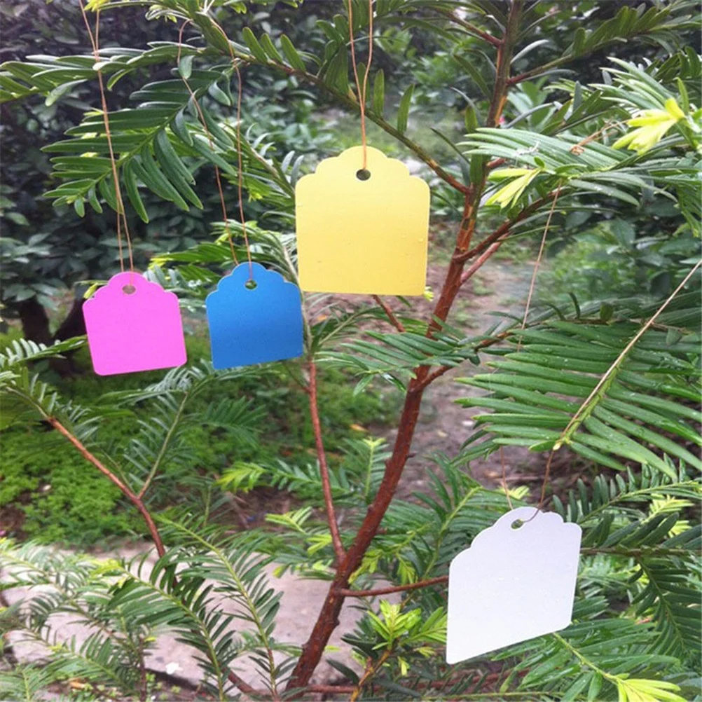 

500Pcs Plastic Plant Labels Reusable Waterproof Tag Markers for Garden Nursery Flower Pots Hanging Identification Strip Line