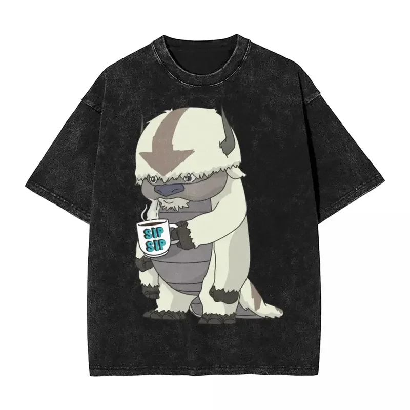 Appa sip sip avatar die letzten air bender t-shirts hip hop gewaschen harajuku t-shirt vintage männer tops streetwear bedrucktes t-shirt