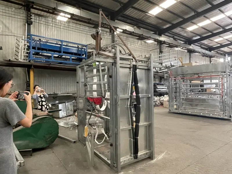 2025 آلة تشذيب حوافر الماشية