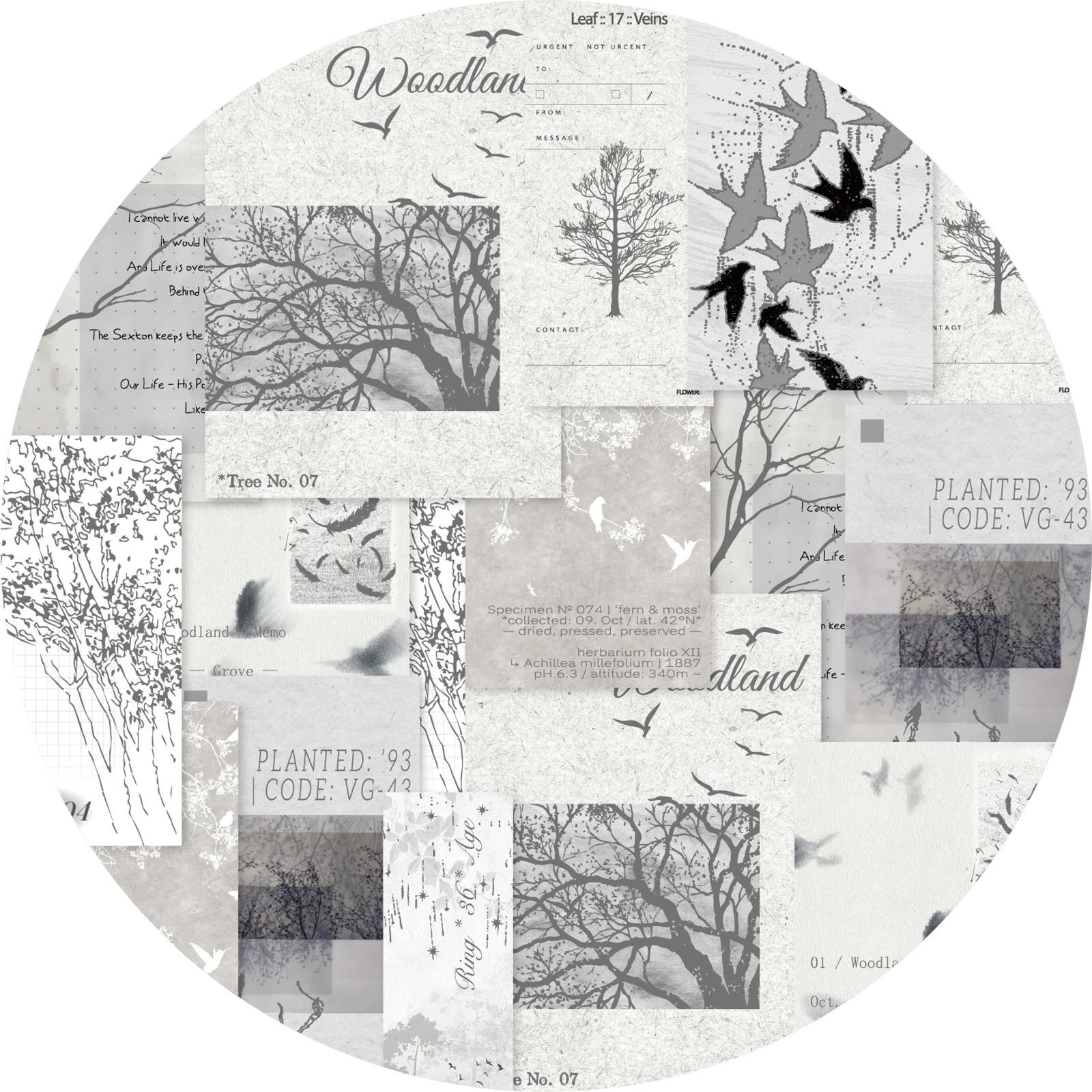 Etori Life 18pcs Cool Wilderness Bird Sticky Notes Sketch of Dead Tree and Bird Pattern Material Book is suitable for laptops, handbags, pencil cases, water bottles, sticker books, postcards and envelopes, scrapbooking supplies, office decoration items, student gift bags, artistic aesthetics, and children's stationery stickers