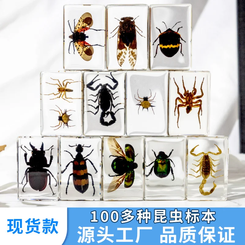 More than 100 kinds of resin epoxy insects, animals, beetle, spider, scorpion, handicraft ornaments.4.5cm