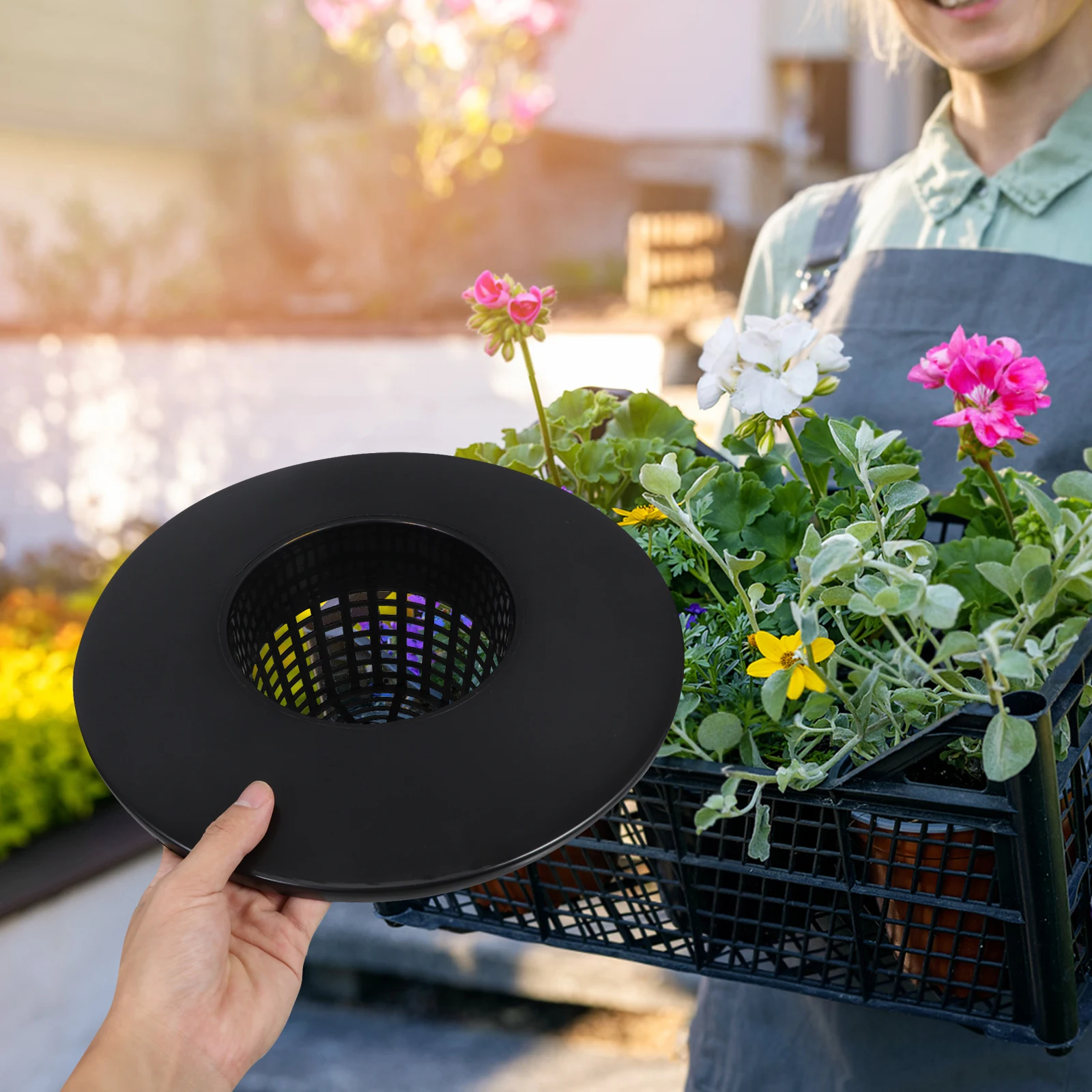 

Black Thick Mesh Bottom Hydroponic Planting Pots Large Ears Design PP Material Baskets for Indoor Gardening Plastic Net Cups