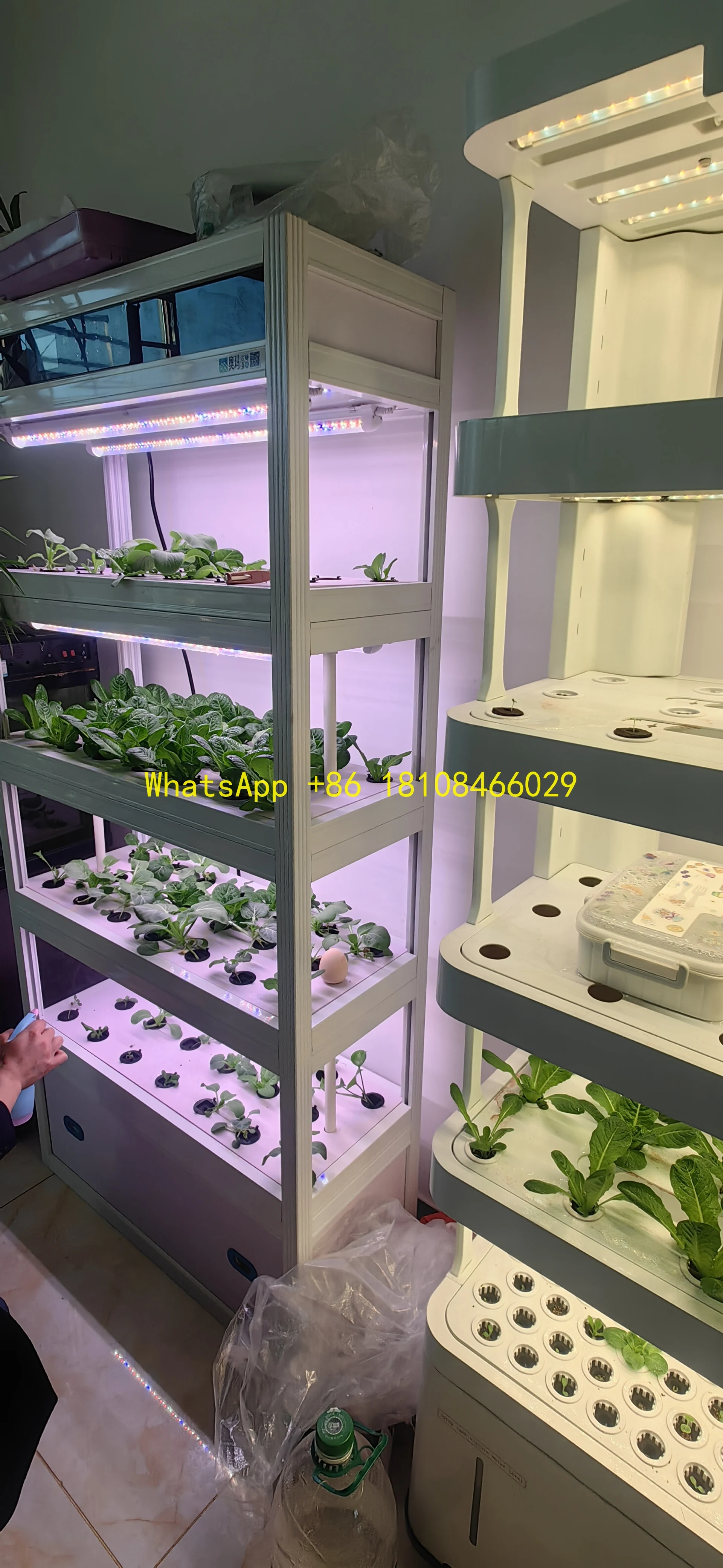 

oilless Balcony Automatic Pump Light SmallIntelligent Vertical Indoor Small Hydroponic Vegetable Planting Machine Multi-Layer S