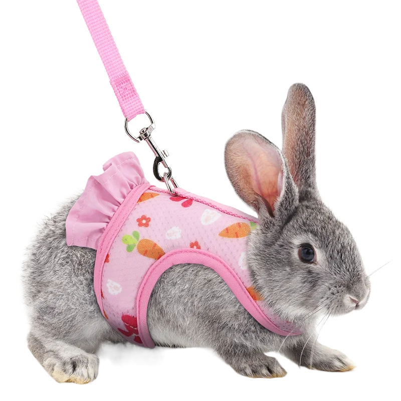 Cross-Border Hot Carrot Rabbit Cover Dutch Slip Pig Cat Chest Back Cover out Cat Pulling Rope Pet Clothes