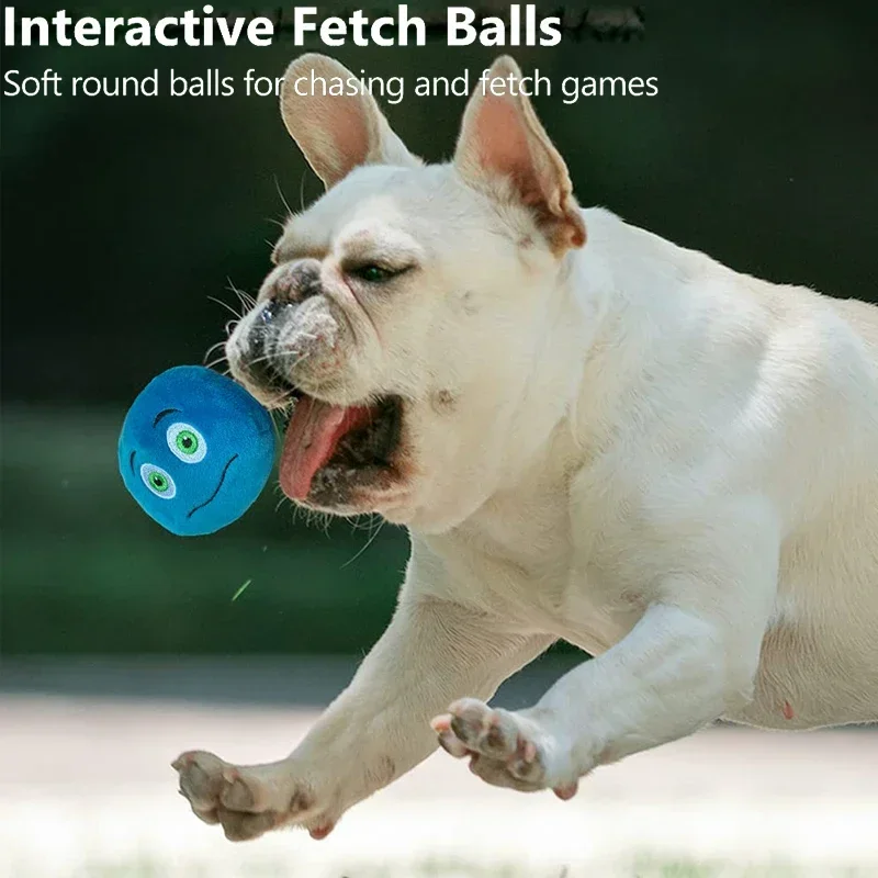 SChitec Dog Toy Play Squeakers Ball Chewing Toy Fetch Bright Balls Dog Supplies Puppy Popular Toys Interactive Dog Supplies 