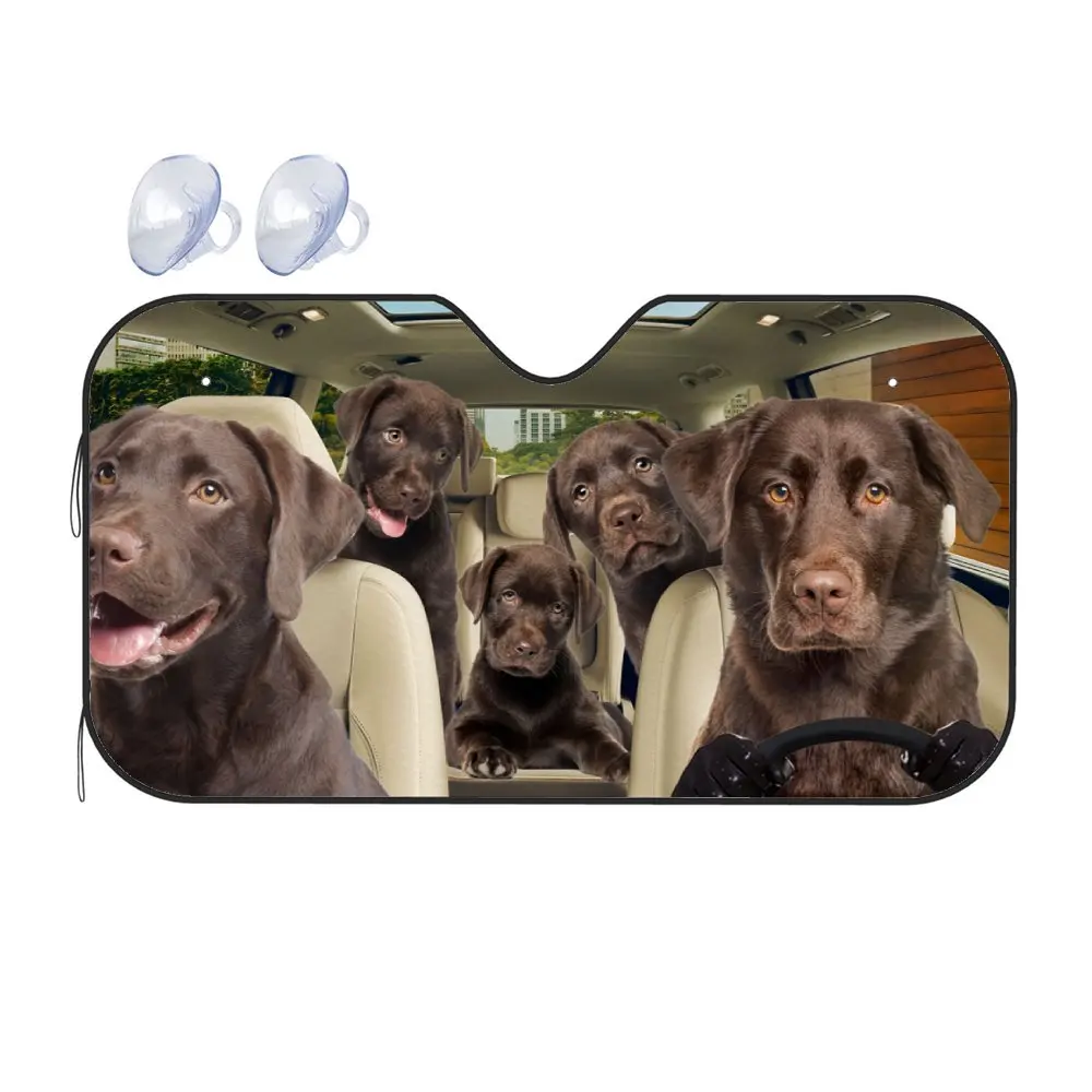 Silver Lab Puppy Driving Car Interior Front Windshield Sun Shade, King Vulture Sunshade for Truck SUV- Blocks Uv Rays Protector