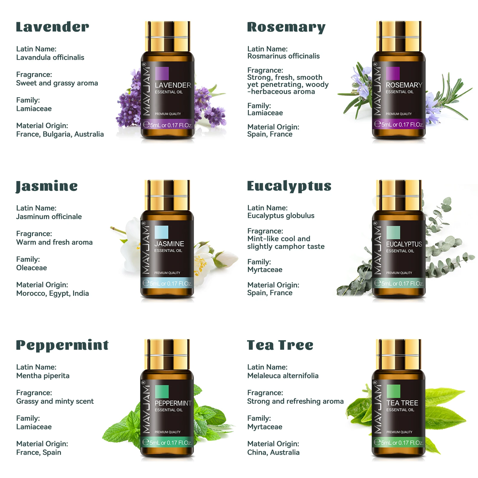 MAYJAM Excelente set de regalo - Candle Making Fragrances reseña y precio