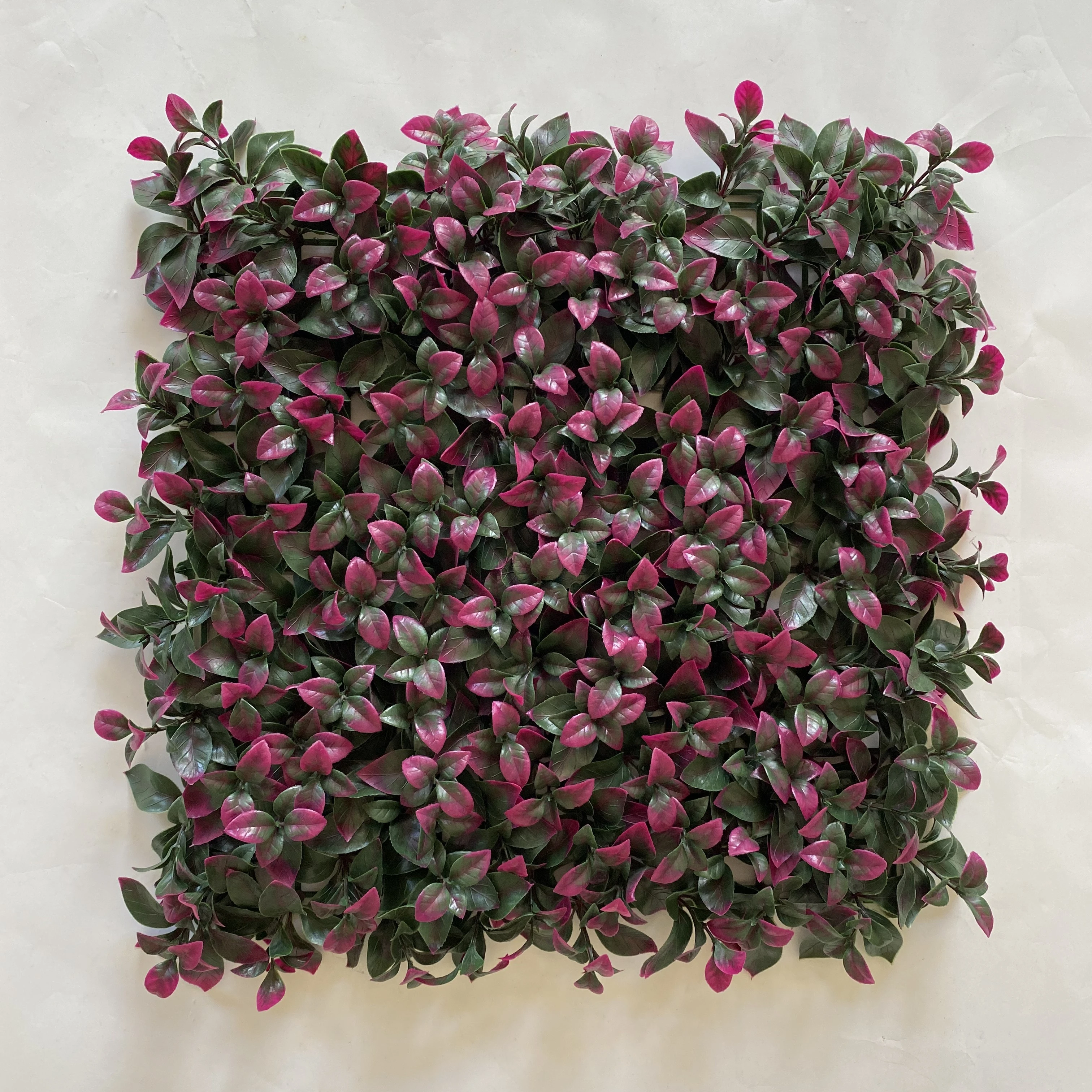 Paneles de Césped Artificial Verde Tipo Boj para Jardín Vertical