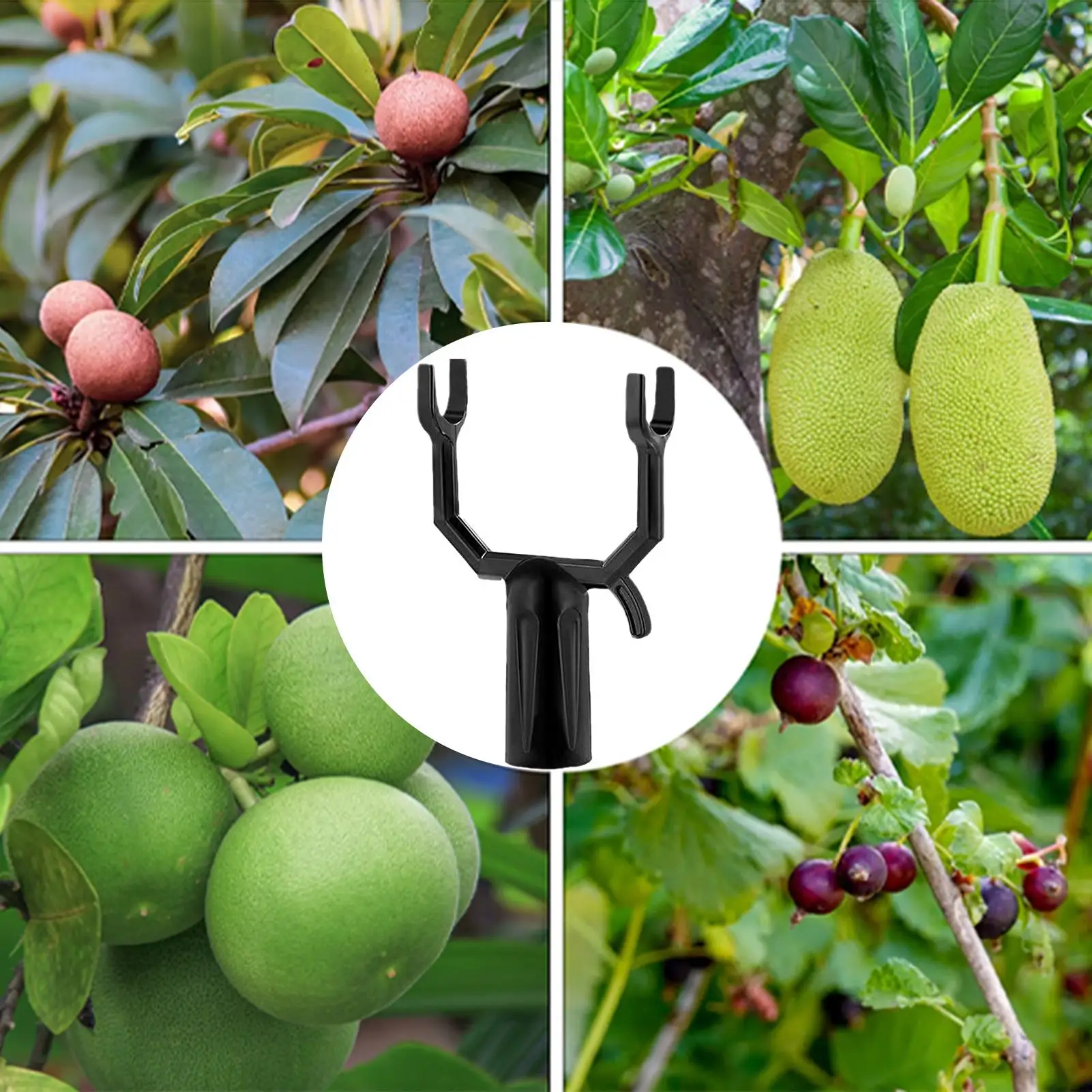 

5Pcs Tree Branch Support Sturdy Alloy Young Trees Vineyards Gardens Plant Crutch Kit Fruit Stake Garden Supplies Plant Cages