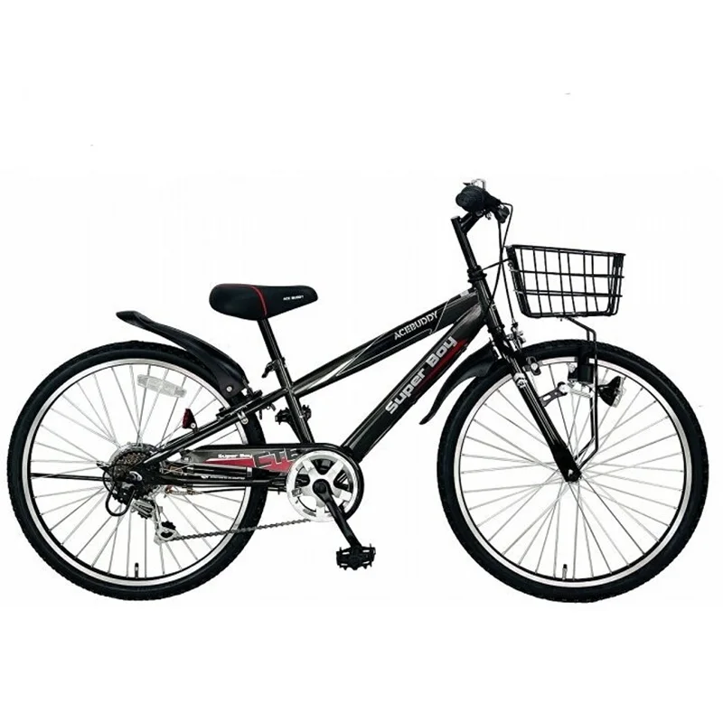 ACE BUDDY 子供用自転車24インジュニアマウンテンバイク シマノ6段変速  キッズバイク CTB246