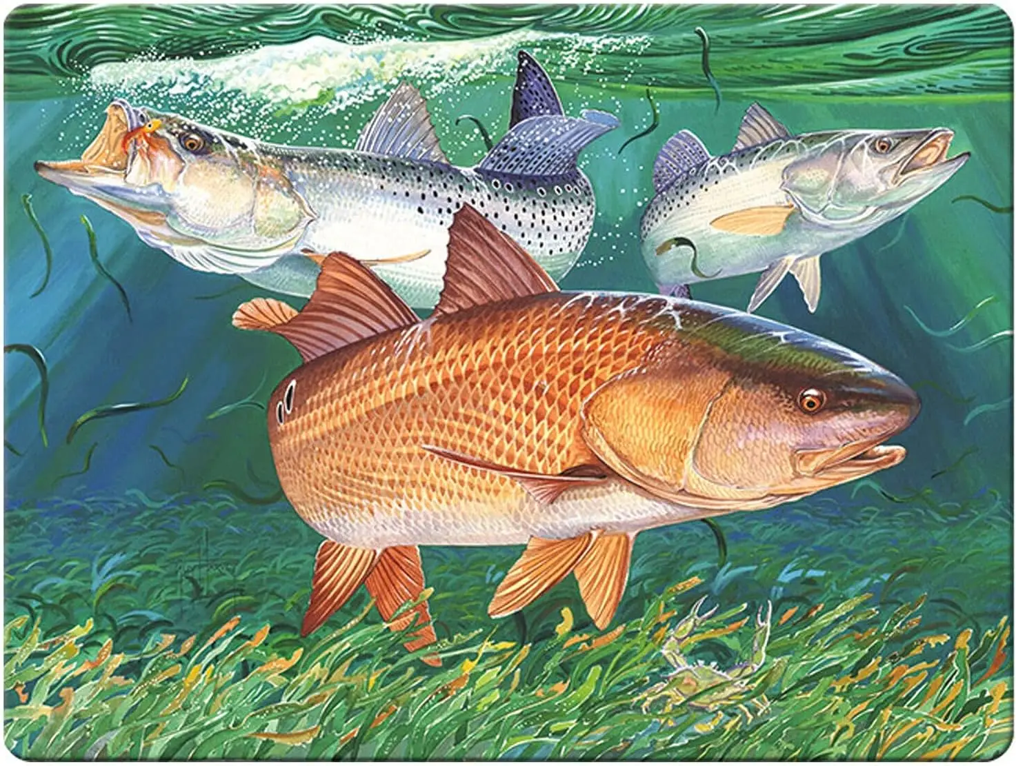 Metal Tin Sign Vintage Chic Art Decoration Redfish and Sea Trout for Home Bar Cafe Farm Store Garage or Club 12