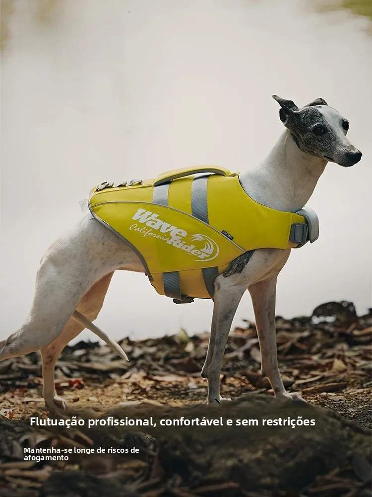 giubbotto-di-salvataggio-per-cani-zooland-alta-galleggiabilita-per-cani-piccoli-medi-e-grandi-costume-da-nuoto-per-animali-domestici-giubbotto-di-salvataggio-per-golden-retriever-e-corgi