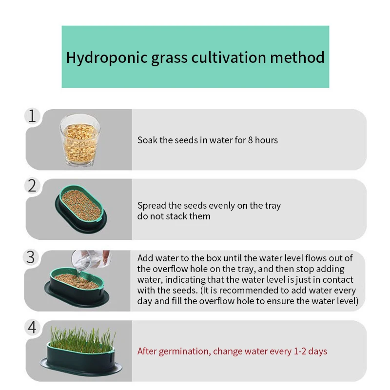 New Pet Cat Sprout Dish Growing Pot Hydroponic Plant Cat Grass Germination Digestion Starter Dish Greenhouse Grow Box