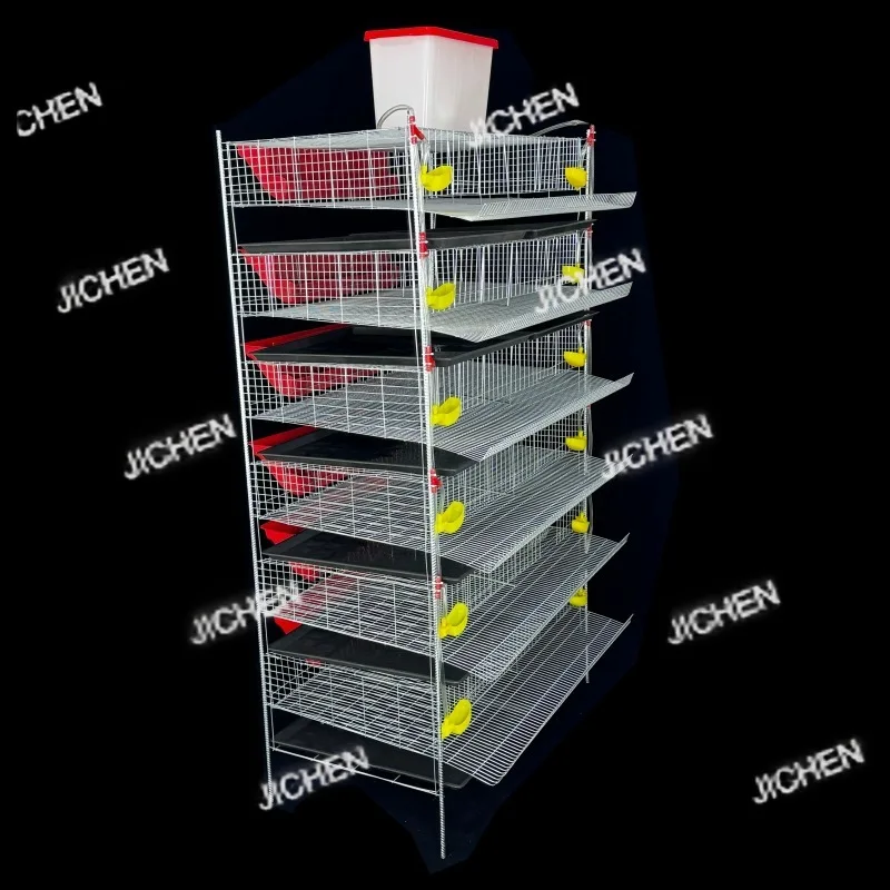 

Automatic Quail Cage, Vertical Stackable Layer with Feeder Waterer & Egg Collector, Manure Cleaning System for Farming Equipment