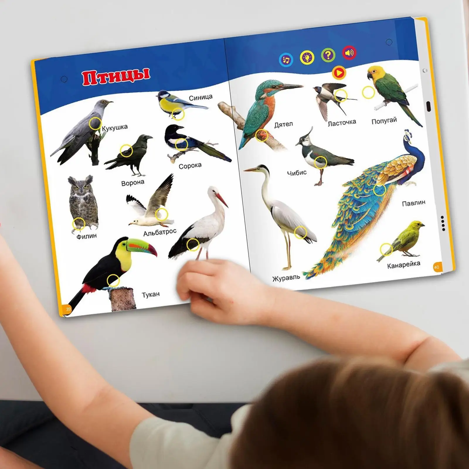 最初のロシア語の単語サウンドブック 単語学習 早期学習 ロシア語の音声学習、交通手段、動物、数字、色