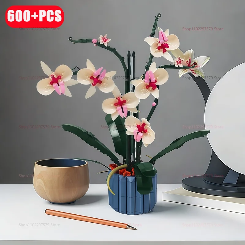 yZ[z600+ DIY ~ AA ςݖ  NGCeBuȉԑMtg l q a z[fR[V