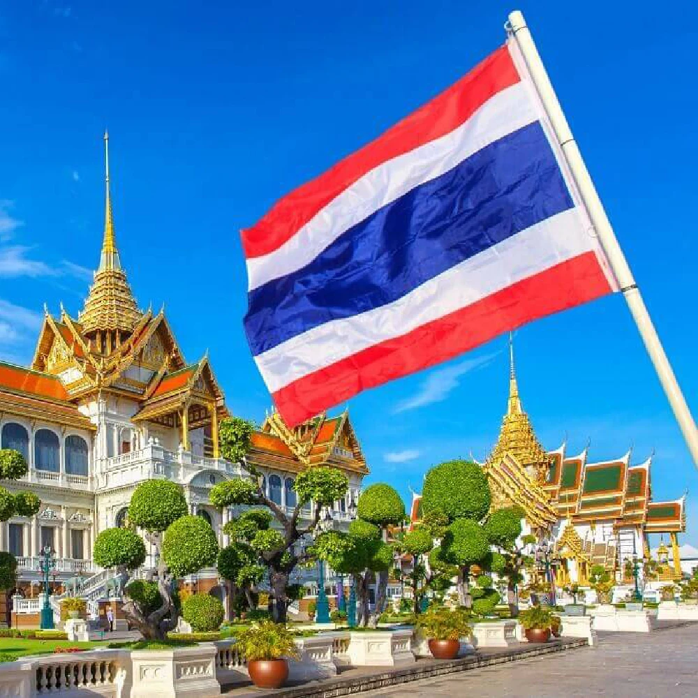 FLAGLINK 90x150 سم TH TH علم تايلاند للزينة #1