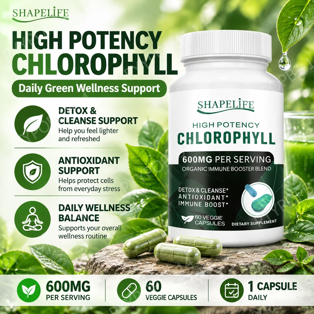 SHAPELIFE Chlorophyll Capsules with Sodium Copper Chlorophyllin and Organic Alfalfa Powder, Non-GMO, Immune Support, 60 Capsules