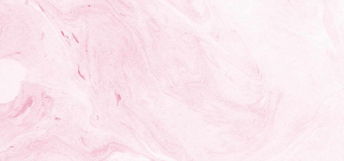 

Модифицированная карбоновая пластина для второго полетного диска для дронов MJX 14303 14304 Hyper GO, запчасть для апгрейда