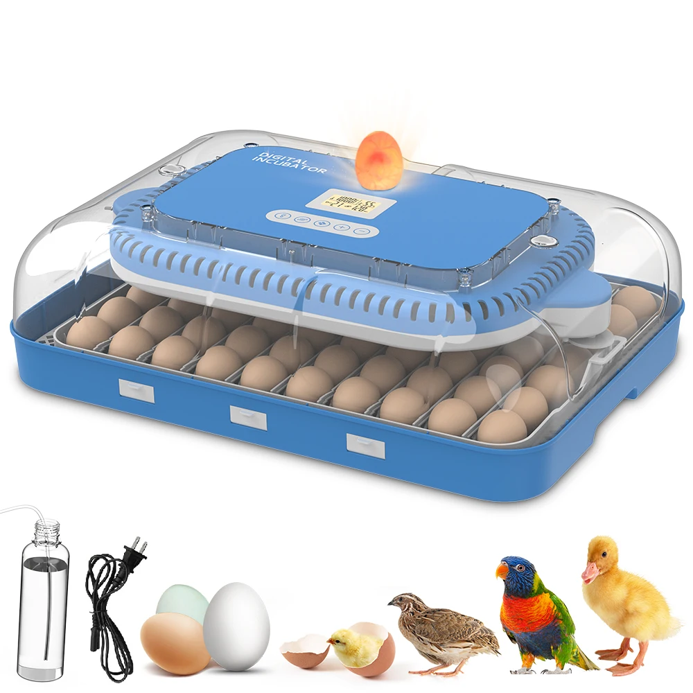 Professional 70-Egg Chicken Incubator Automatic Egg Turning Dual Voltage Plastic High Productivity 98% Hatching Rate