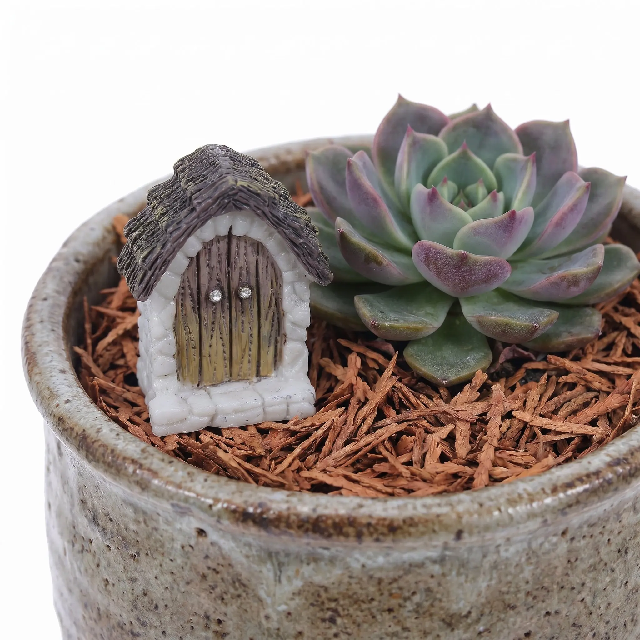 4Pcs Resin Mini Mystical Door  - Aquarium Mini Fish review and price