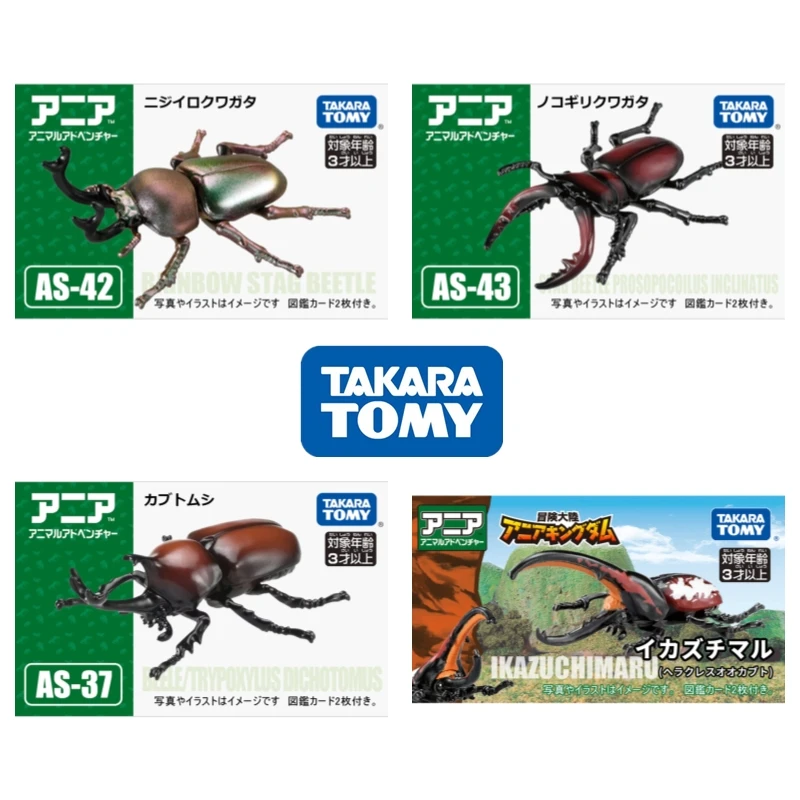 TAKARA TOMY Anlia Simulated Wild Animal Model Beetle Collection Decorative Ornaments Children's Toy Ladybug Birthday Gift