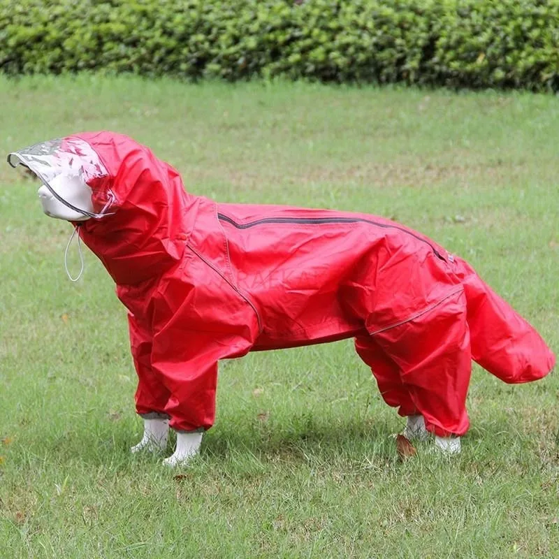 Pet dog, big dog, medium to large dog, golden haired Samoyed, Alaska, all inclusive raincoat, hooded bag, tail rain gear