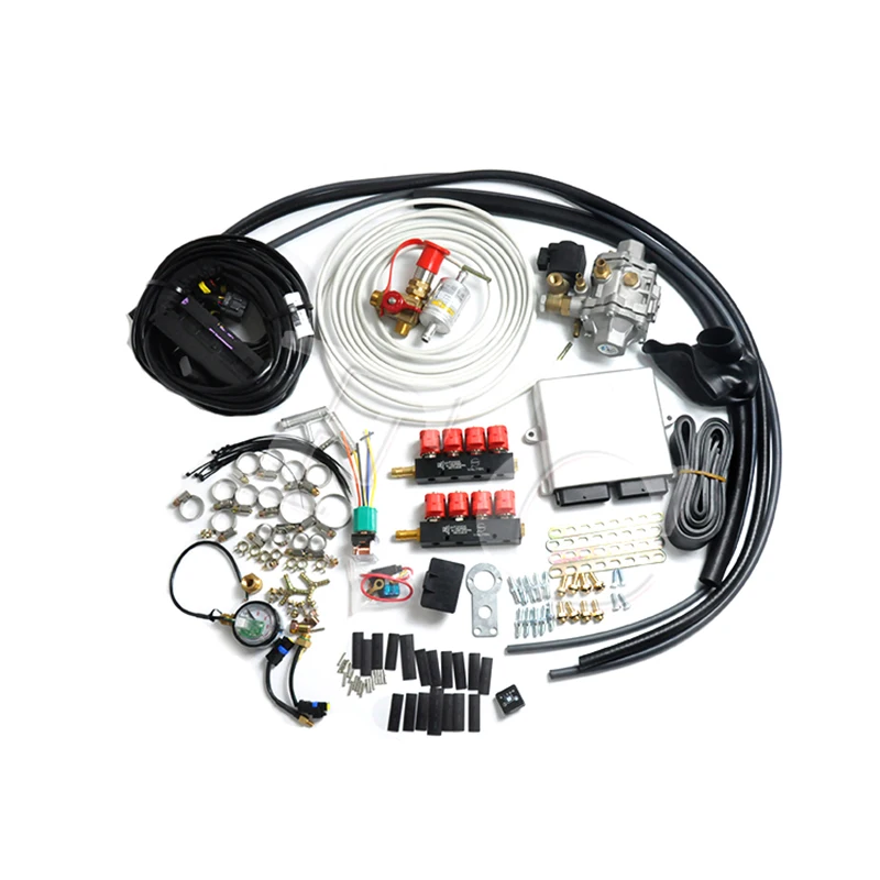 Natural Compressed Gas Kit 8 Cylinder Mp48 for CNG Sequential Injection Conversion Kit
