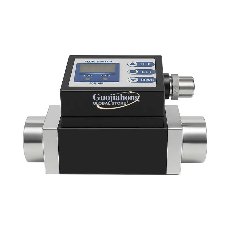 DN10 Digital Variable Area  Flow Meter for Industrial Laboratory Use OEM Customizable Various Pipe Diameters